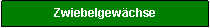 Textfeld: Zwiebelgewchse
