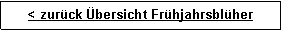 Textfeld: < zurck bersicht Frhjahrsblher