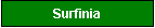 Textfeld: Surfinia