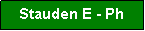 Textfeld: Stauden E - Ph