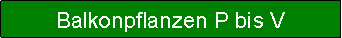 Textfeld: Balkonpflanzen P bis V