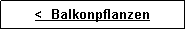 Textfeld: <  Balkonpflanzen