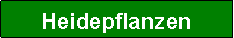 Textfeld: Heidepflanzen