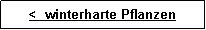 Textfeld: <  winterharte Pflanzen