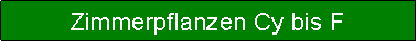 Textfeld: Zimmerpflanzen Cy bis F