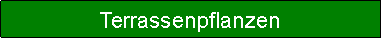 Textfeld: Terrassenpflanzen